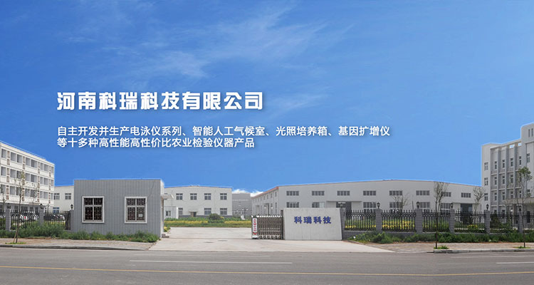 333-http://www_krkj_net.yucai88.cn/uploadfile/202209/e03d126c589b6fe.jpg